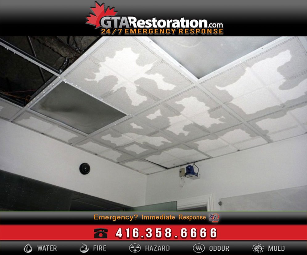 How To Deal With Flood and Water Damage?